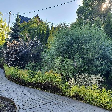 Willa Bukowina Apartment Bukowina Tatrzanska Bagian luar foto
